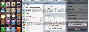 Delete Safari History iPad and iPhone