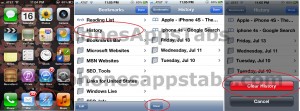 Delete Safari History iPad and iPhone 2