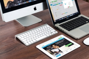 WordPress Themes