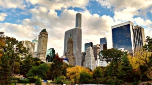 Central Park New York | Cool Things to Do In New York City NYC