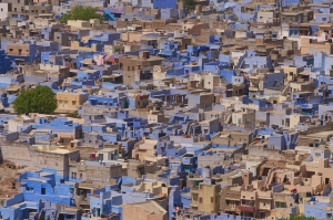 Jodhpur Rajasthan India - Blue City