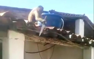 Drunk monkey armed with kitchen knife chases bar patrons