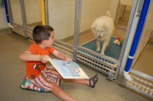 Kids reading to dogs in St Louis