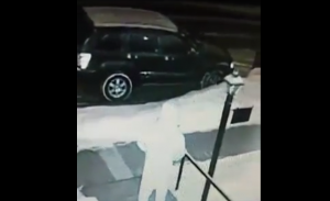 Man was shocked to find out who was peeing on his front lawn