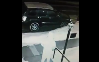 Man was shocked to find out who was peeing on his front lawn