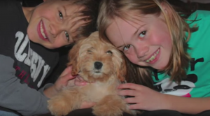 Peaches Puppy as a Surprise