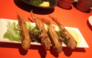 Deep Fried Salamanders | A Restaurant In Japan Sells the World's Most Bizarre Dishes.