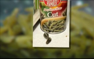 Snake head Found in a green benas can