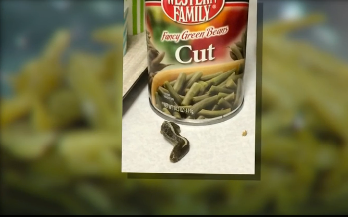 Snake head Found in a green benas can