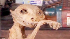 bizarre mummyfied animal found in turkey