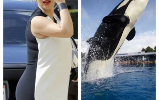 who-wore-it-better-kim-kardashian