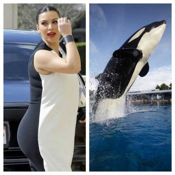 who-wore-it-better-kim-kardashian