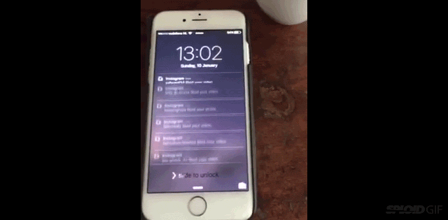 8 million instagram followers