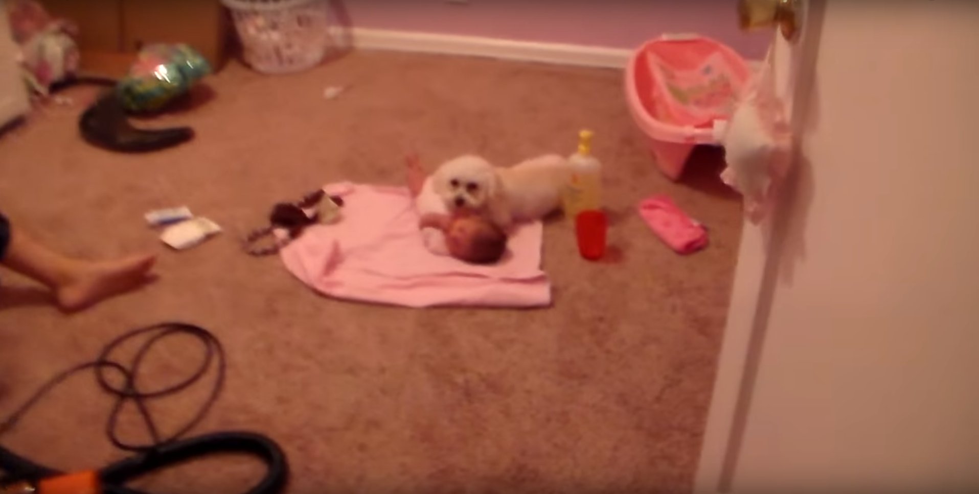 Dog Protects The Baby Sister From Hair Dryer