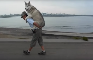 Guy Gives His Dog A Piggy Back Ride