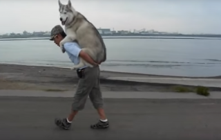 Guy Gives His Dog A Piggy Back Ride