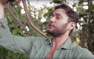 5-Feet Giant Earthworm Discovered In Ecuador Will Creep You Out