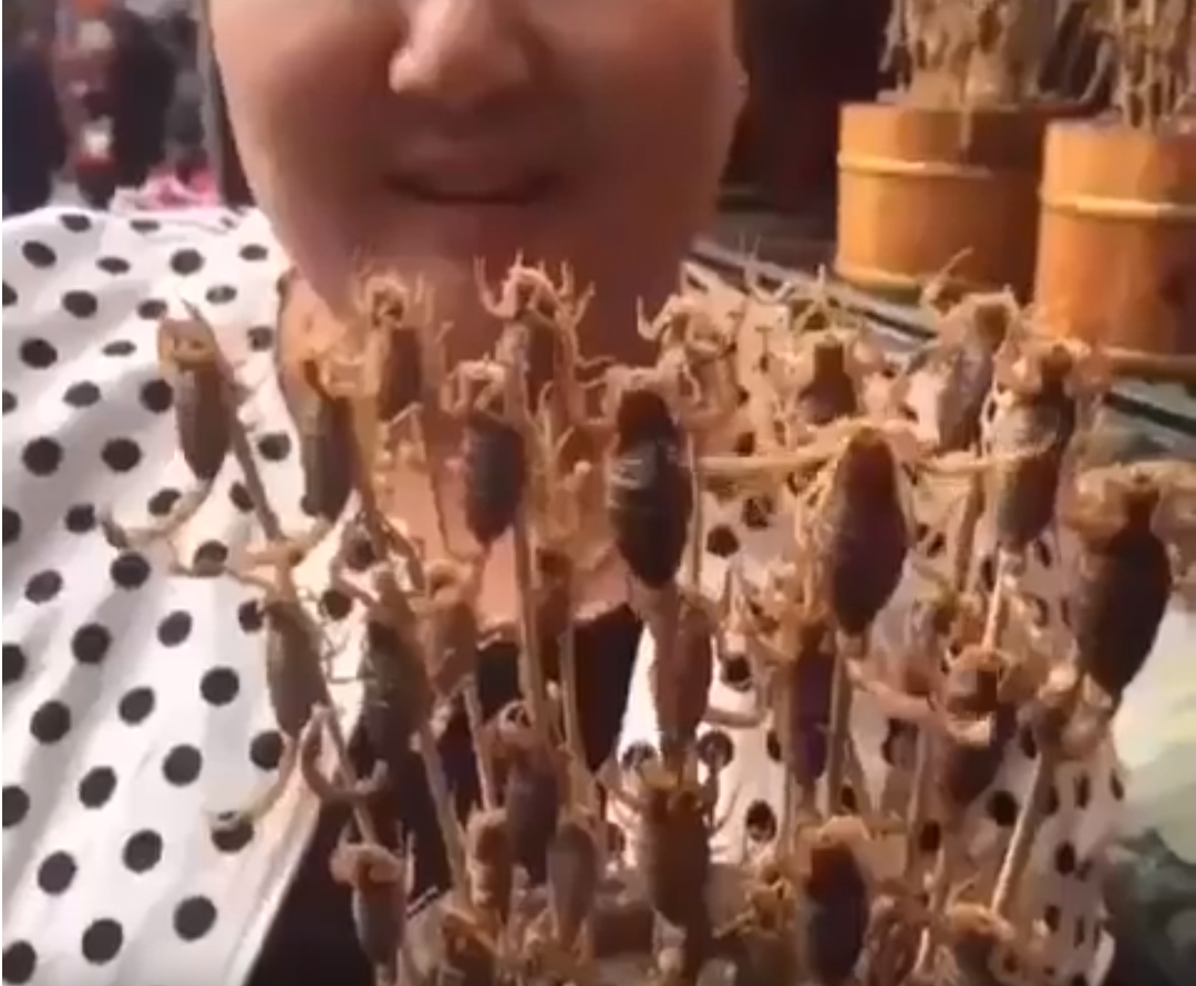 Eating Live Scorpions