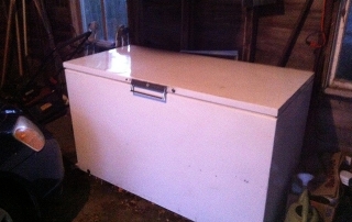 She Makes Gruesome Discovery In Freezer She Purchased From The Neighbor's Daughter