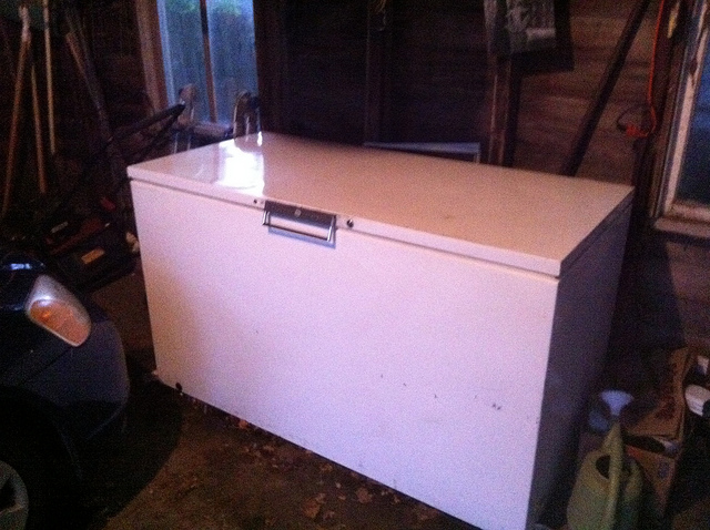 She Makes Gruesome Discovery In Freezer She Purchased From The Neighbor's Daughter