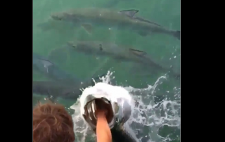 You wont believe what happened next