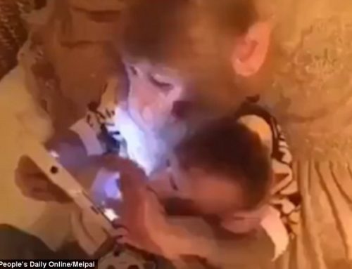 Baby Monkey Is Learning How To Use “Tablet” From His Father