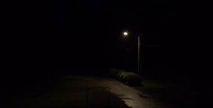 Weird alien sounds coming from the woods