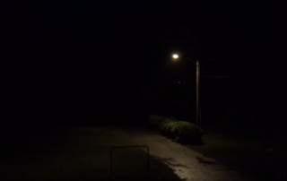 Weird alien sounds coming from the woods