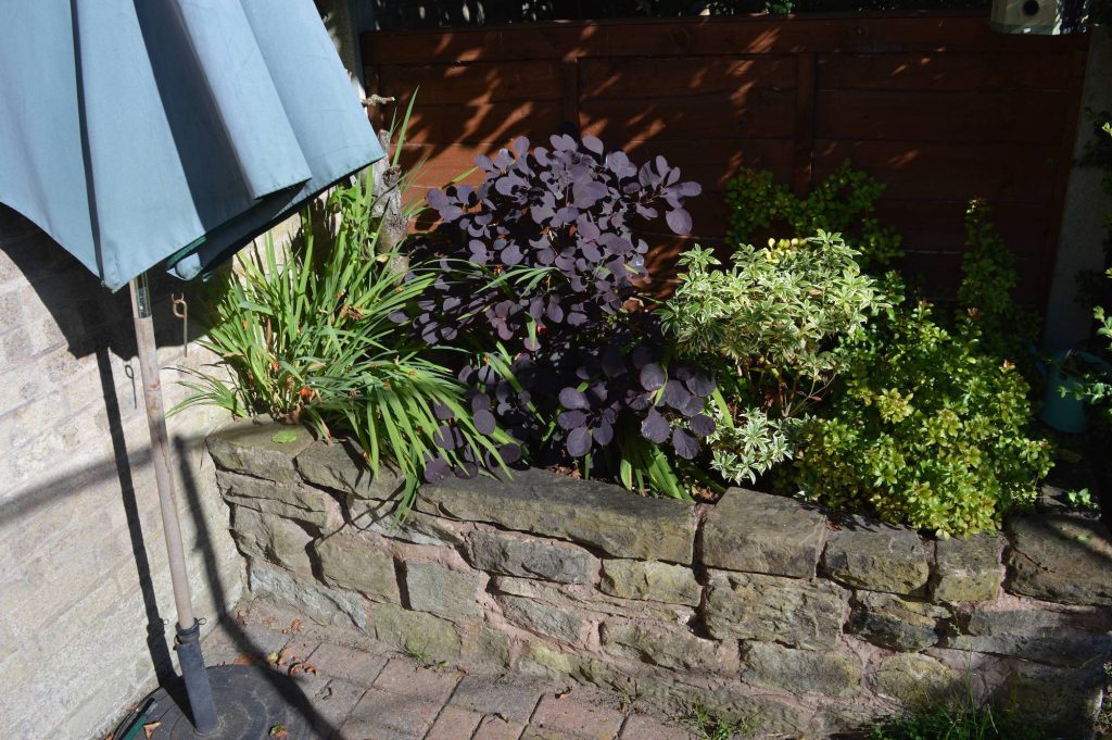 DIY Outdoor Brick Pizza Oven Step 1