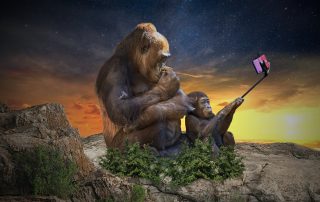 Evolution Selfie - Debongo