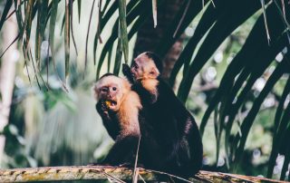 Best Spot Costa Rica